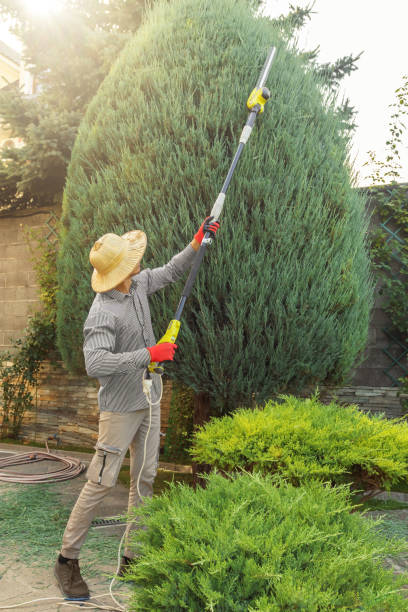 Best Weed Control  in Delhi, LA